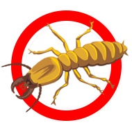 Termites