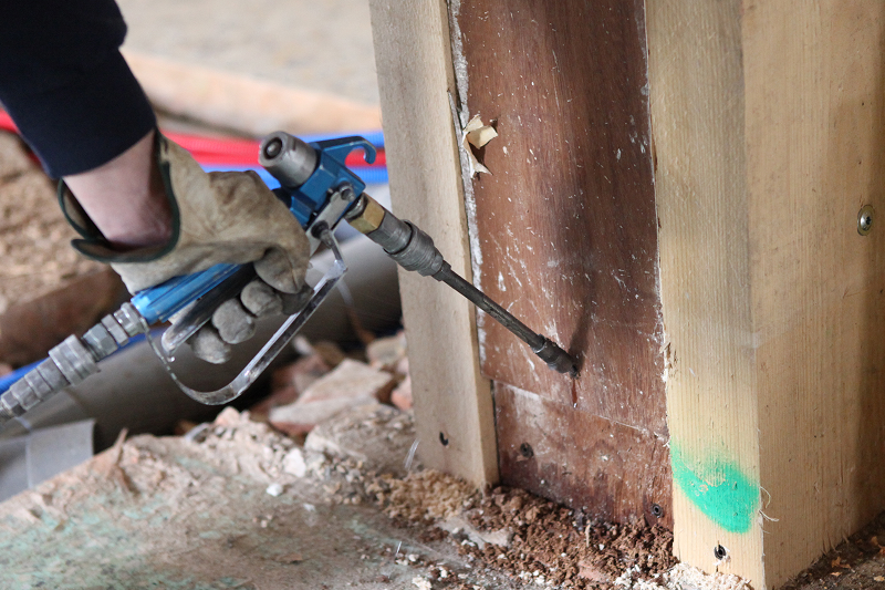 Pest Exterminator Pest Exterminator